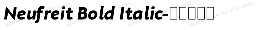 Neufreit Bold Italic字体转换